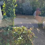 Modern In *