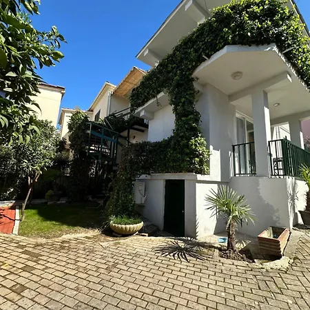 Modern In