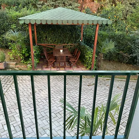 Modern In * Tirana